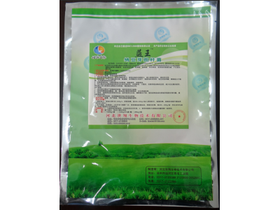 益王納豆芽孢桿菌