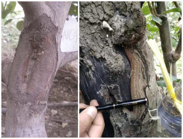 1566009832493617.jpg 微信圖片_20190817104113.jpg